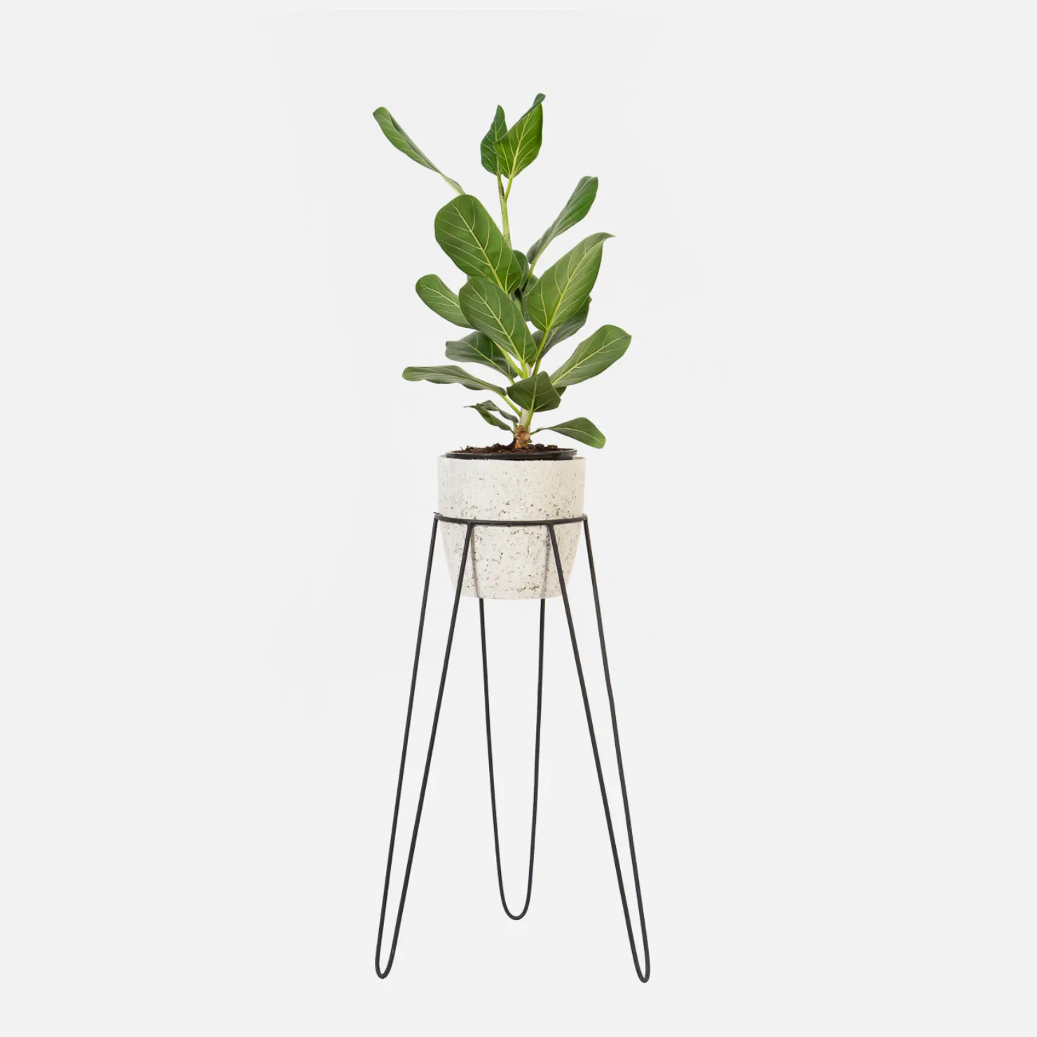 Hairpin Plant Stand