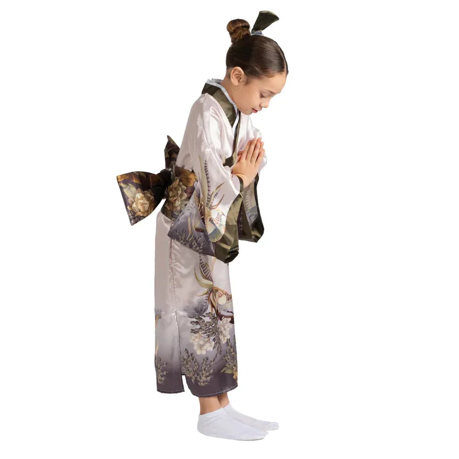 Japanese Kimono